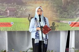 Pemkab Bogor terapkan Sapta Pesona di 23 desa wisata