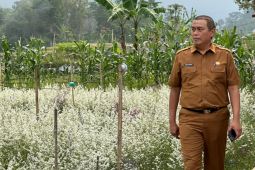 Dispertan Garut harap hujan mulai turun bisa selamatkan sawah kering