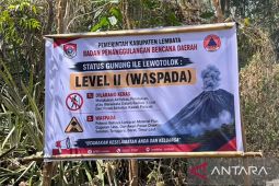 Wisatawan dilarang beraktivitas di radius 2 km Gunung Lewotolok