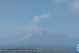Semeru tujuh kali erupsi, tinggi letusan hingga 1 km