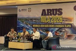 KKP mengembangkan induk unggul dukung budi daya ikan nila