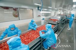 MIXUE uji rantai dingin untuk produk berbahan buah