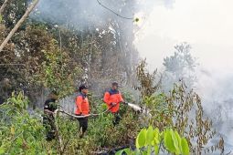 Satgas Karhutla kembali temukan lima titik api di tiga kecamatan