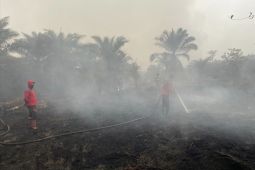 BMKG sebut kabut asap sulit terurai dipengaruhi Siklus Walker