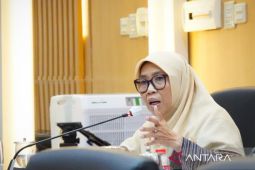 Anggota DPR minta perkuat kewaspadaan influenza tanpa picu kepanikan