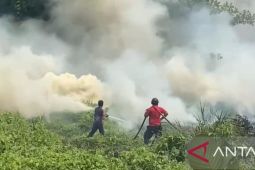 Satgas Karhutla Bangka berhasil tangani 384 karhutla