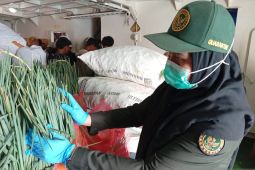 BKHIT Maluku awasi 10,12 ton komoditas pertanian menuju Halteng Malut