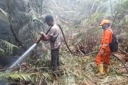 Pemkab Lingga larang pembukaan lahan dengan cara dibakar untuk cegah karhutla
