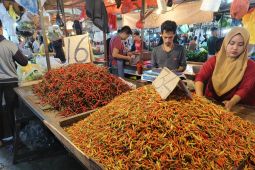 Petani Kalimantan Barat mulai olah tanah untuk kembali tanam hortikultura