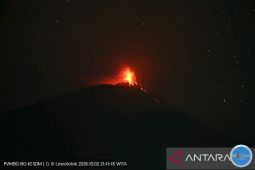 Gunung Ili Lewotolok erupsi muntahkan abu dan lelehan lava 500 meter
