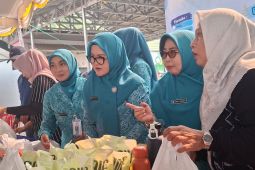 Kalsel kemarin dari budidaya ikan terintegrasi hingga pasar murah