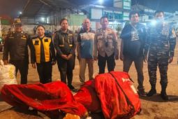 Hendak dikirim ke Jakarta, 60 kg kayu gaharu tanpa dokumen diamankan BKSDA Maluku