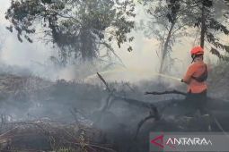 Bapperida lakukan mitigasi Karhutla dengan tiga tahap