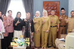 Pastikan PKK tetap solid, Plt. Bupati Langkat Tiorita: Program harus berjalan dan manfaatnya dirasakan masyarakat