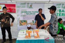 Baznas Sumedang mendampingi puluhan petani kelola 50 hektare lahan jagung