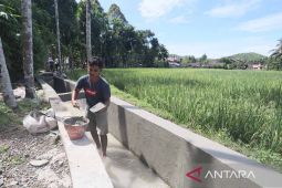 Satgas PRR pantau pemulihan irigasi pascabencana Aceh Selatan