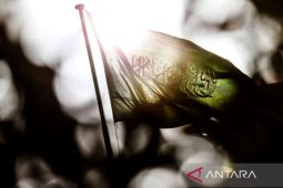 Konflik Arab Saudi-Houthi memanas, RI imbau WNI tingkatkan kewaspadaan
