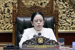 DPR setujui RUU Satu Data Indonesia disahkan jadi undang-undang