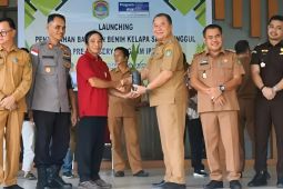 Sekadau salurkan 57.700 benih kelapa sawit kepada 21 poktan