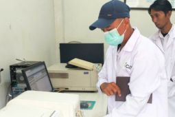 BBRMP Maluku tingkatkan kompetensi SDM dan mutu komoditas pertanian