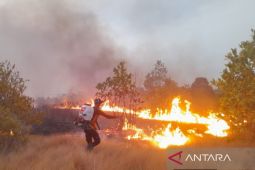 BPBD Bangka Barat: Hujan awal tidak kurangi risiko karhutla
