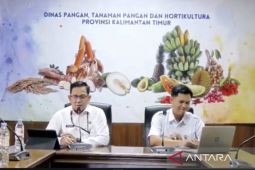 Produksi Pisang Kaltim anjlok 60 persen akibat  serangan penyakit