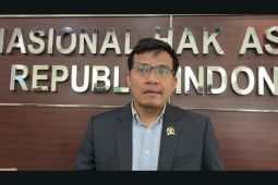 Komnas HAM terima belasan aduan dampak penertiban lahan Satgas PKH