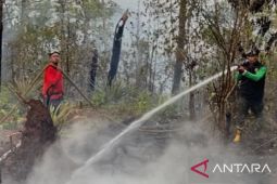 Jangkau medan tersulit, Dishut Maluku gencarkan patroli kawasan hutan minimalkan Karhutla