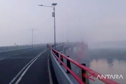 Dishut Maluku sebut kabut asap di Ambon akibat dampak karhutla di Papua, Seram dan Buru