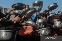FAO: 1,2 juta warga Palestina hadapi krisis pangan akut, kondisi diperkirakan memburuk