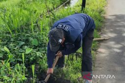 DLH Cianjur menanam 3.000 bibit pohon di daerah rawan bencana