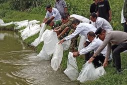 Padang Pariaman dapat 240 ribu bibit ikan program pemulihan pascabencana