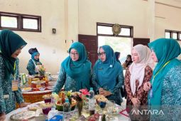 PKK Nagan Raya dorong penggunaan pangan lokal melalui lomba menu kreasi