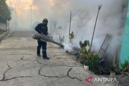Pemkot Pekalongan giatkan gerakan PSN untuk mencegah peningkatan kasus DBD