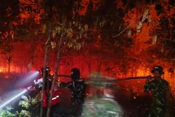 BPBD Barsel sebut pekatnya kabut asap akibat tingginya karhutla lokal