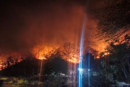 Tim siaga darurat tangani kebakaran hutan di Majene