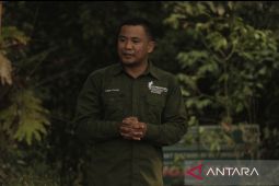 Pepelingasih Kaltim galang pemuda aktif cegah karhutla