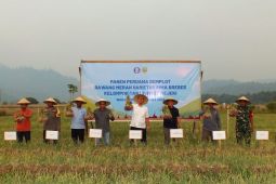 Pemkab Halmahera Timur dan BI kembangkan komoditas bawang merah tekan laju inflasi
