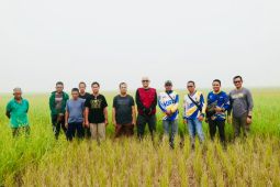 Wabup HSU tinjau kesiapan jaringan irigasi air tanah
