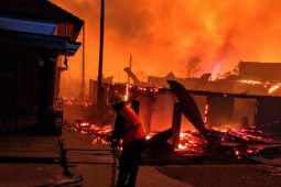 Kebakaran hebat landa Dusun Serdang, PLN amankan jaringan listrik untuk hindari bahaya kelistrikan