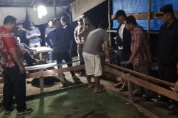 Arena sabung ayam di Karang Bangun Simalungun dibongkar, pemilik dibina