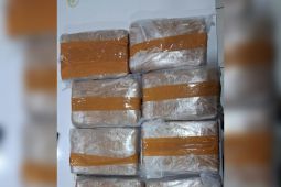 Polda Banten bongkar pengiriman 11 kg ganja dan sabu lewat jasa ekspedisi