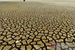 BMKG: Indeks El Nino Kaltim capai 3,44 berintensitas sangat kuat
