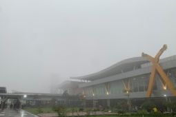 12 penerbangan alami penundaan di Bandara Pekanbaru akibat kabut asap