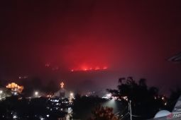 100 hektare kawasan Cagar Alam Gunung Lokon terbakar