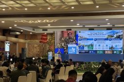 Wamenko Pangan minta aksi nyata daerah tekan emisi karbon