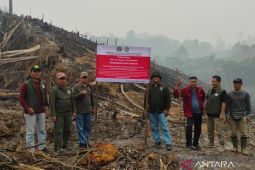 KPH Ketapang Utara soroti minimnya sarana pengendalian karhutla