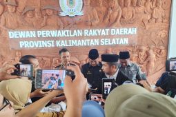 Dewan sebut persoalan distribusi BBM bersubsidi diduga keterlibatan oknum