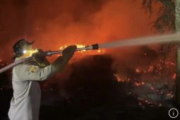 Kebakaran lahan gambut Kotawaringin Timur, Kapolres turun langsung padamkan api