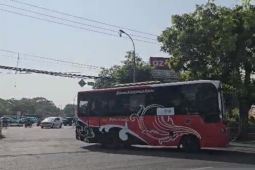 Penumpang Trans Metro Dewata naik imbas antrean BBM